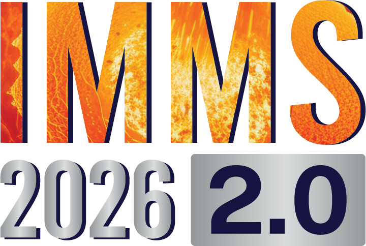 SSTS 2025 Logo